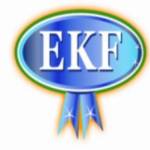EKF (1)